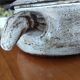 Ceramic soup tureen from Vallauris, circa 1960