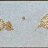 Bas relief painting / earth lepidopterology Butterflies A. Prudhomme Curiosity cabinet