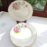 6 Anemone / Digoin flat plates