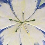 Flower dish dabbling