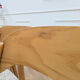 Set of 4 Baumann Sleigh Chairs