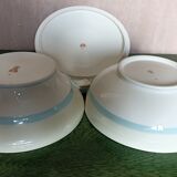 Salad bowl and vegetable Robert Haviland & Le Tanneur