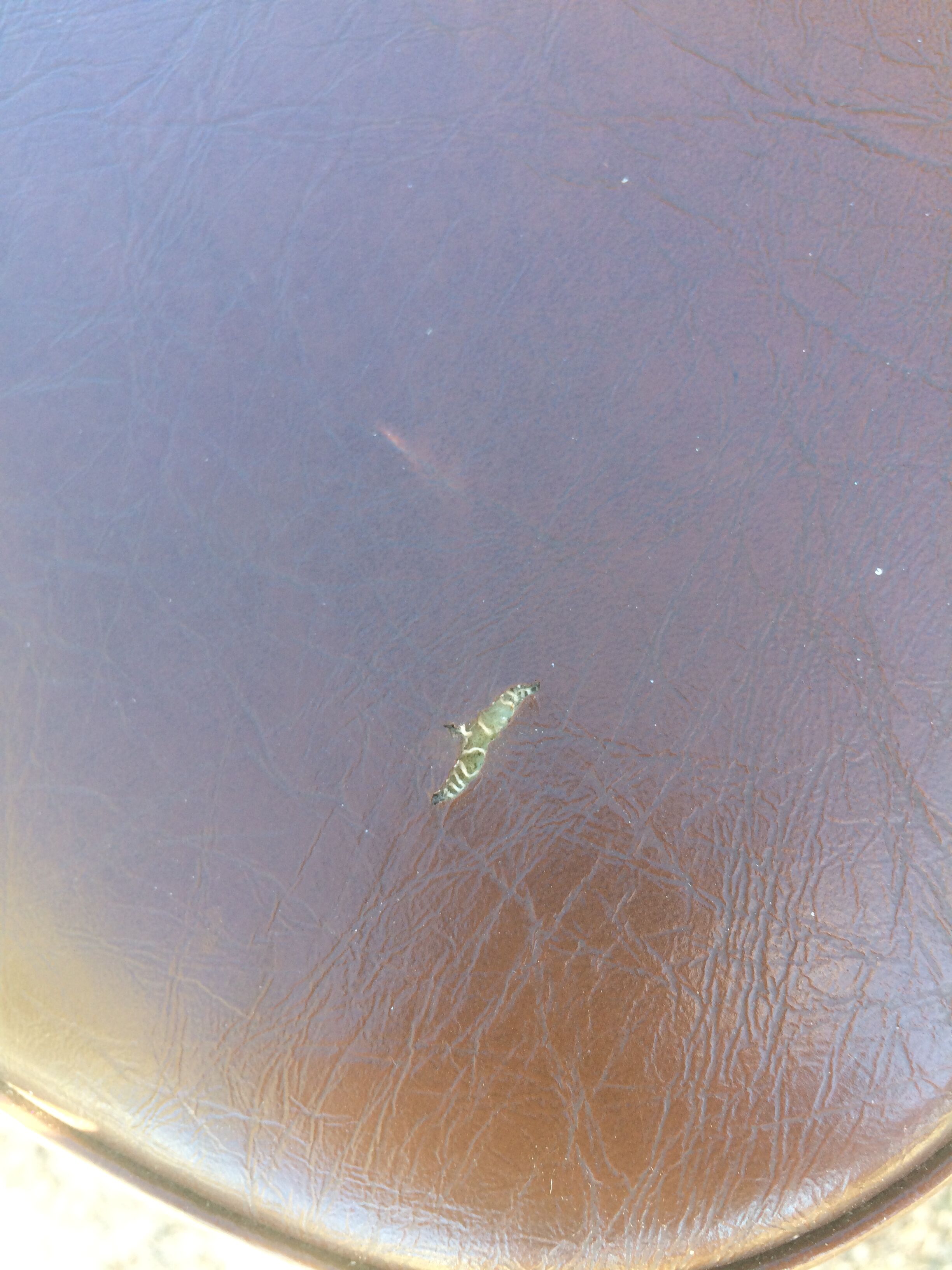 50s conference chairs, set of 6