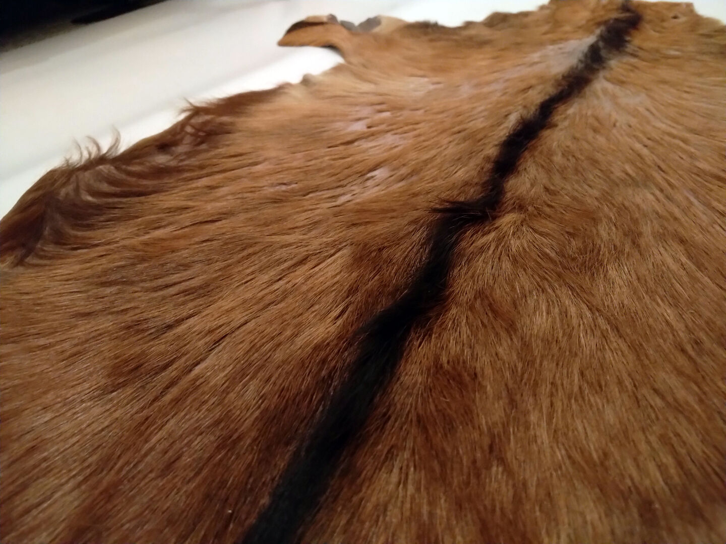 Vintage skin 95x60 cm