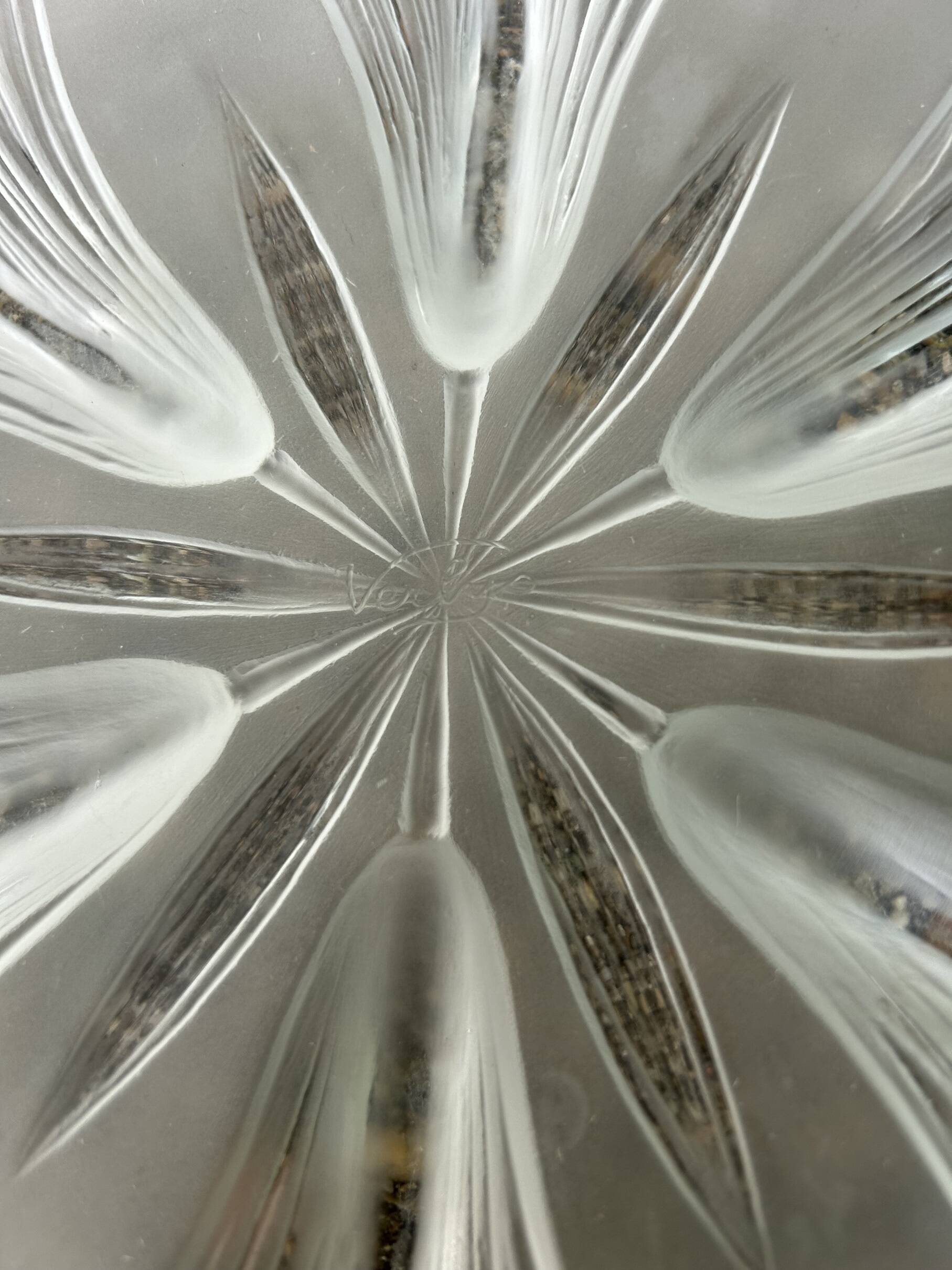 Coupe en verre Verlys