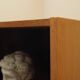 Ash Shelving Unit Domino Møbler, Denmark, 1970s