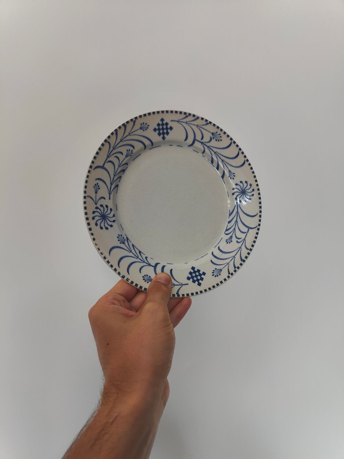 5 plates