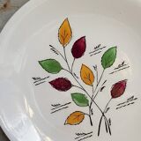 Seven vintage plates in fine earthenware from Gien service Gentilly