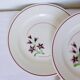 4 vintage flat plates from the Salins factory 210638
