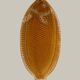 grand plat poisson Sarreguemeines