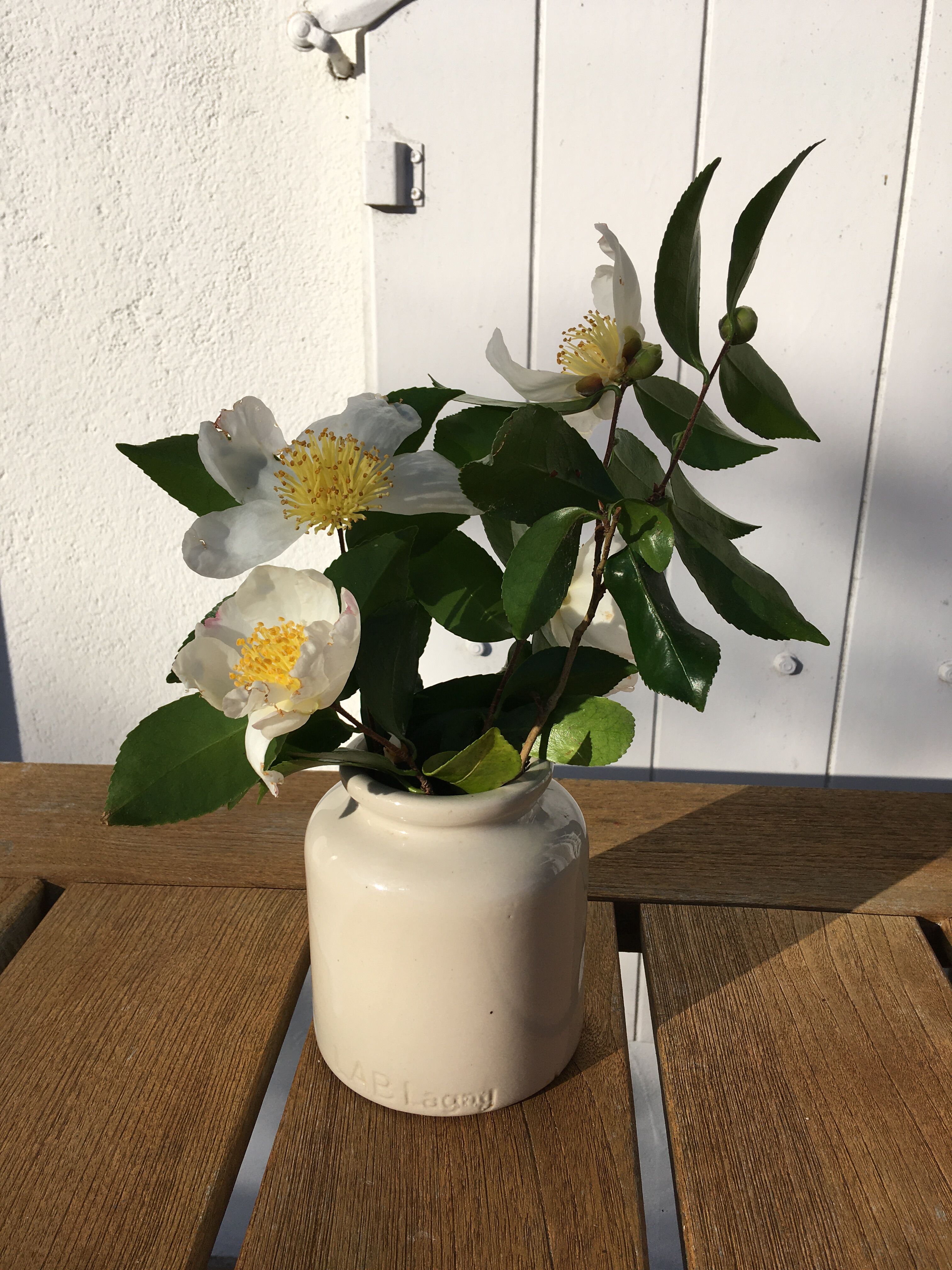 Beige sandstone mustard pot