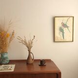 « Platycercus Icterotis » ornithological board  - J&L Gould