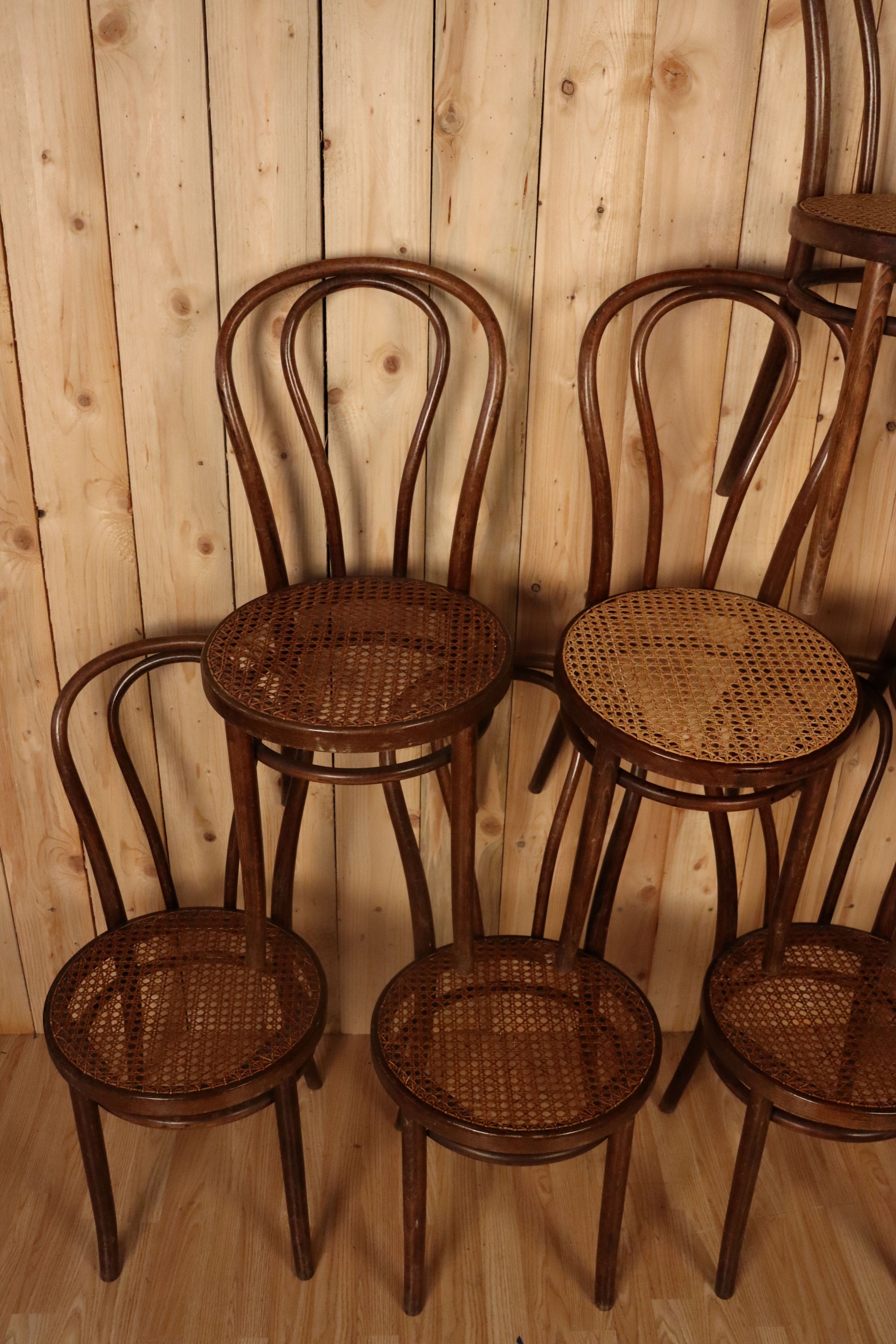 Eight Thonet bistro chairs