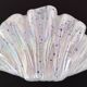 Murano Glass Empty Pocket Shell Shape