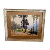 landscape