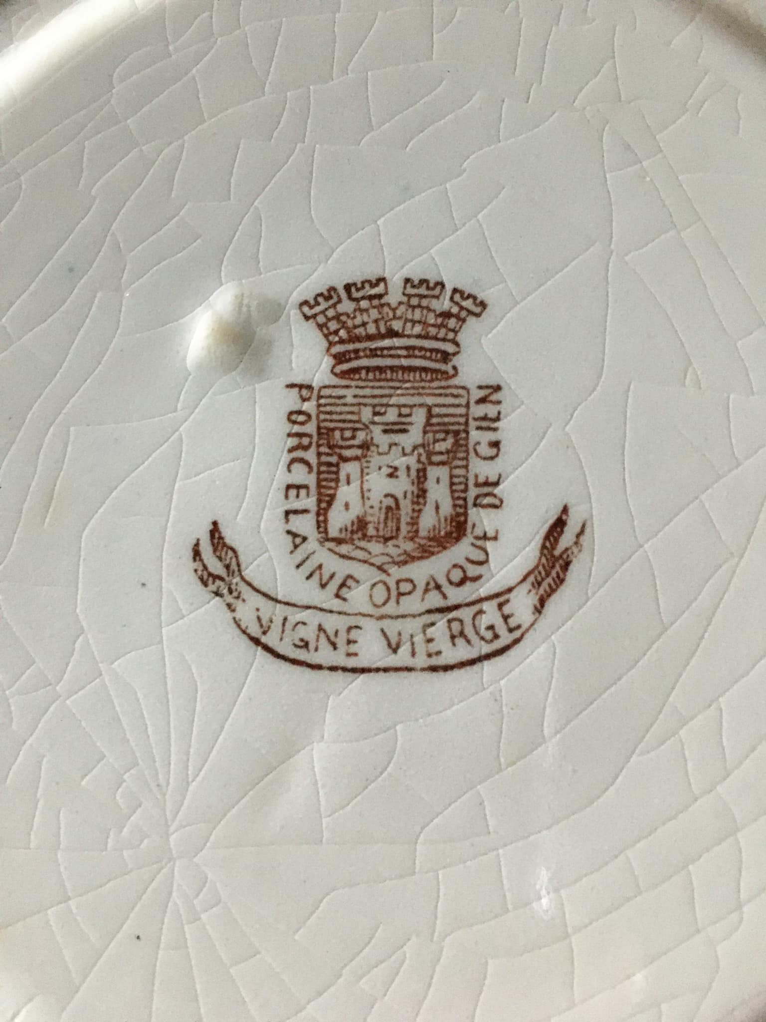 4 Flat plates in opaque porcelain from Gien "Virgin vine"