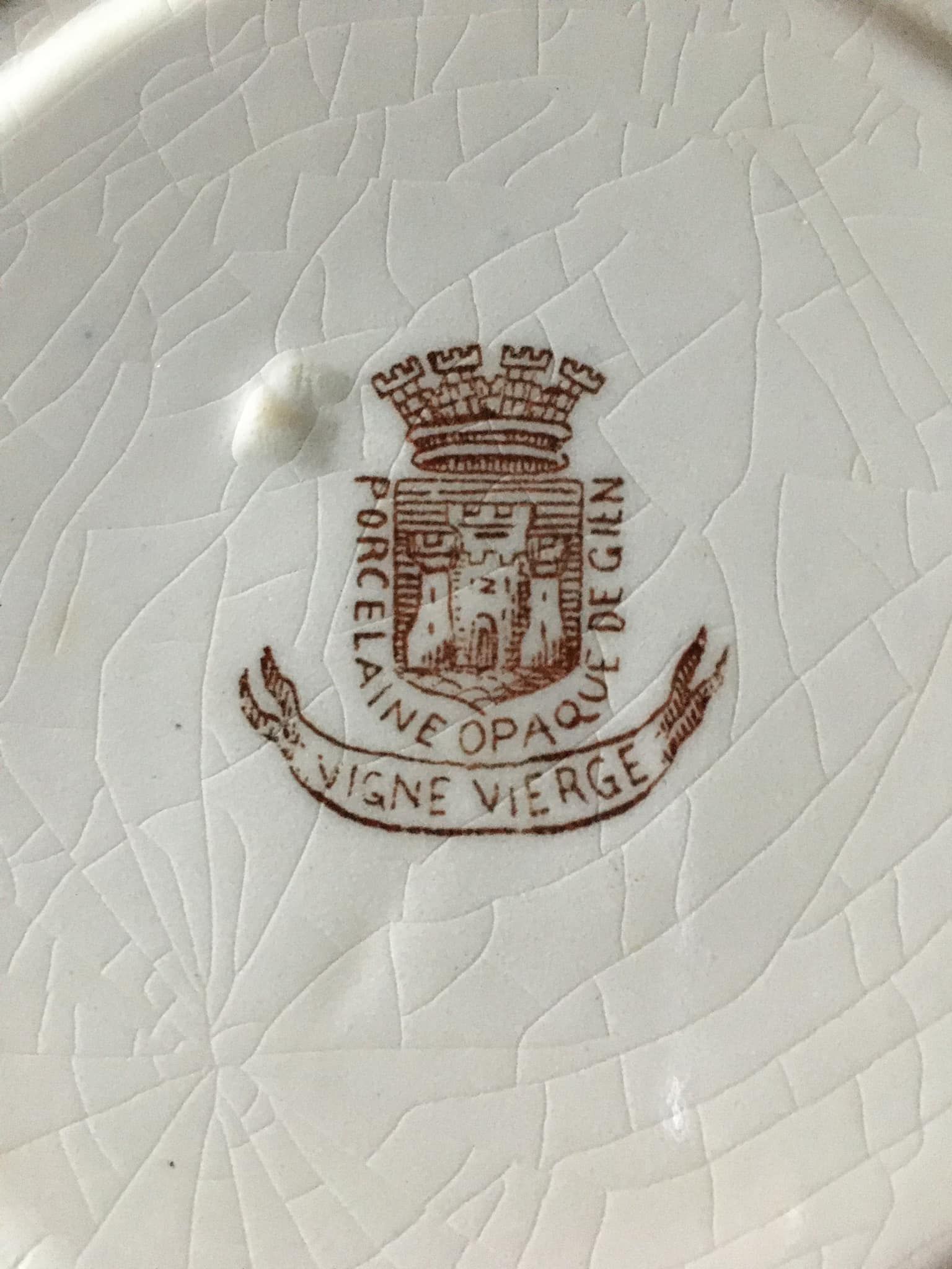 4 Flat plates in opaque porcelain from Gien "Virgin vine"