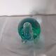 Paperweight Murano glass turtle signed Nason