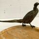 Empty marble pocket has 20th century bronze bird decoration