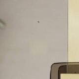 Regency Style Brass and Glass Coat Rack, Italy 1970s