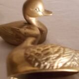 Canards laiton