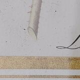 Botanical poster Rosa Gallica Aurelianensis The Duchess of Orleans 34 X 26,5 cm