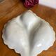 Ceramic compartmentalized leaf appetizer dish