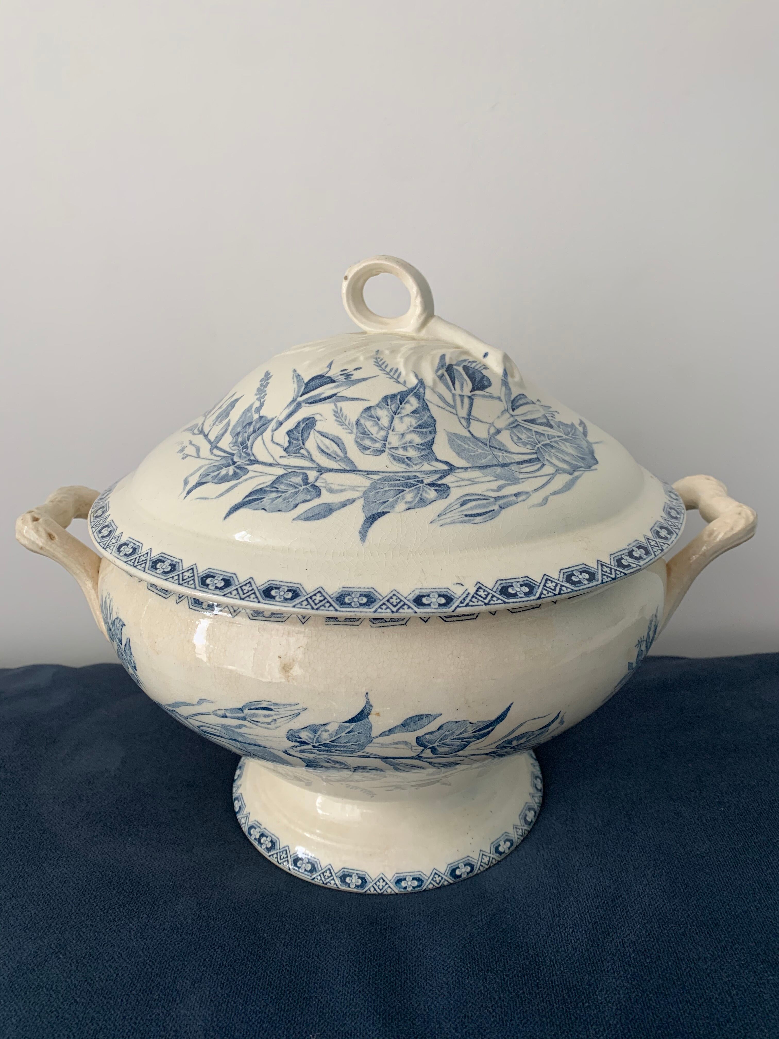 Old blue soup, Terre de Fer, martha model