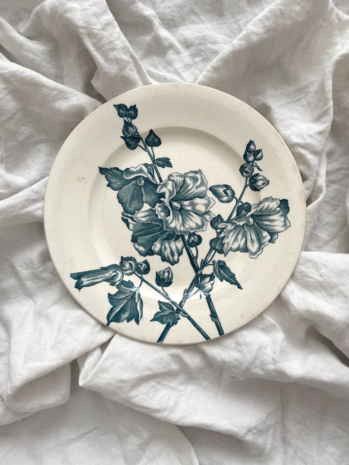 Antique ironstone plate "Tremières" Salins