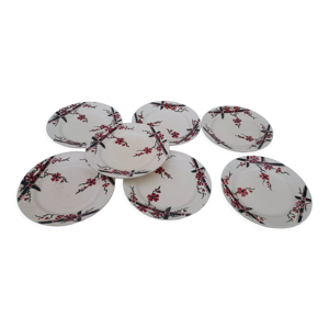7 assiettes plates en