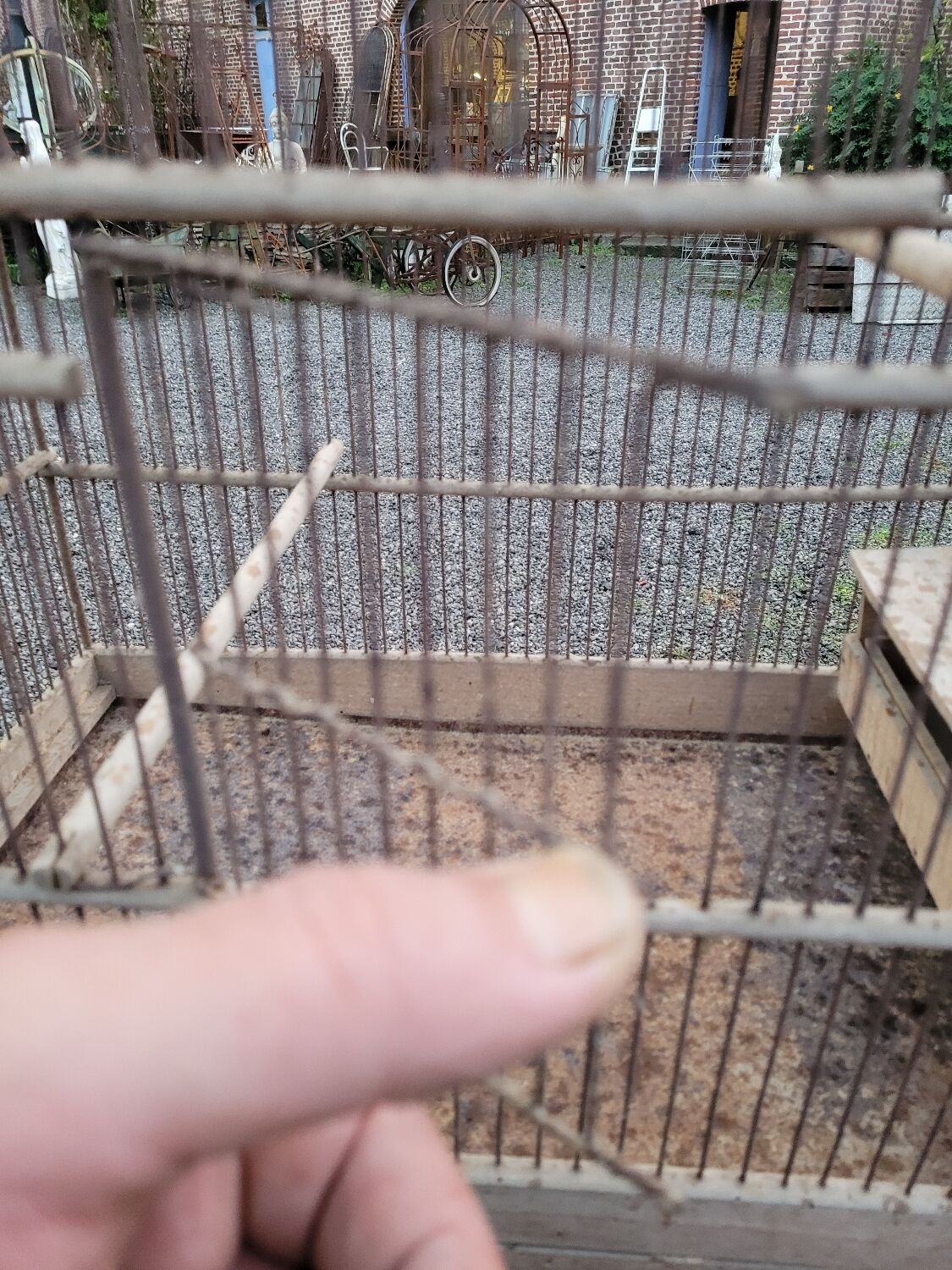 Old bird cage