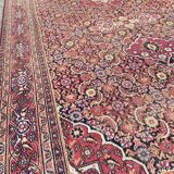 Tapis ancien persan Dorokhsh khorassan du début de 19eme siècle 200x400 cm