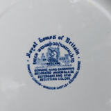 11 plates english porcelain