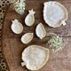 Lot de plats vintage en nacre et laiton