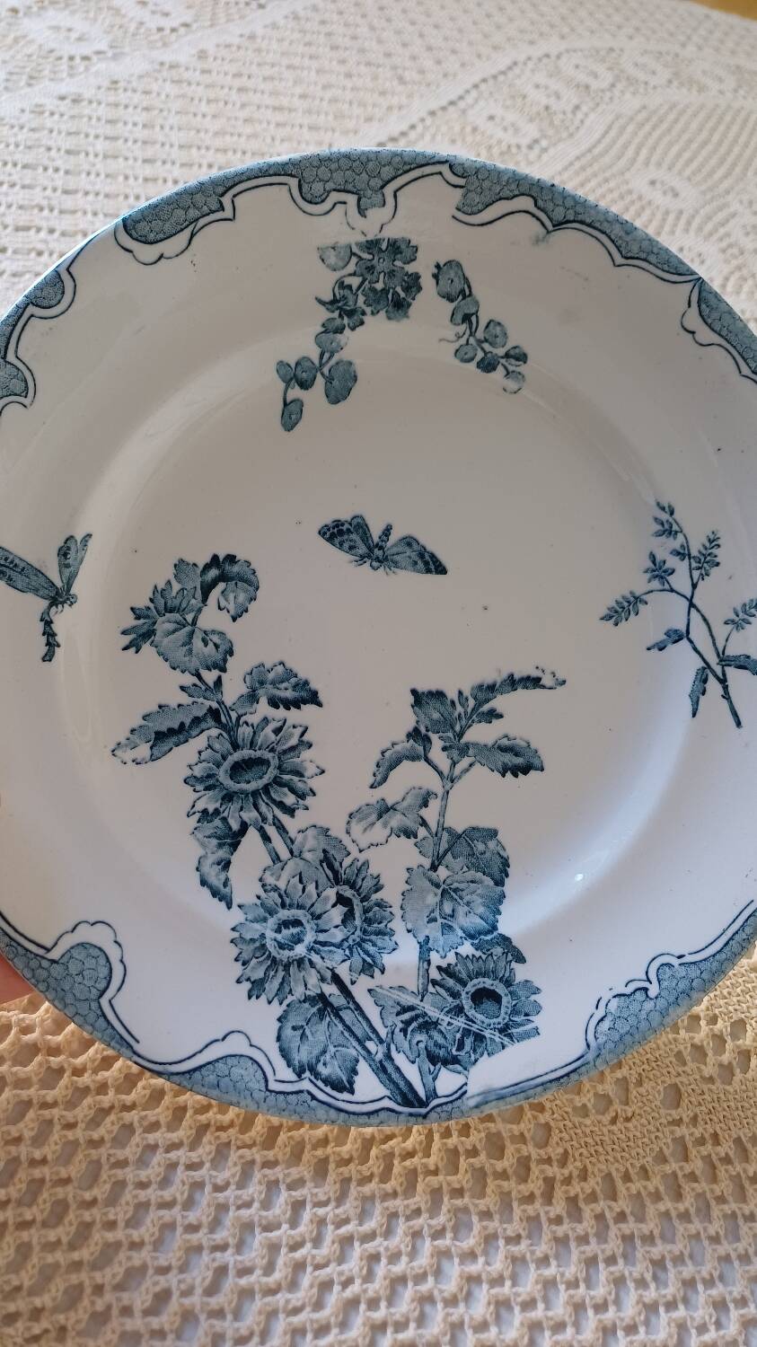 Longwy Sun Fruit Bowl