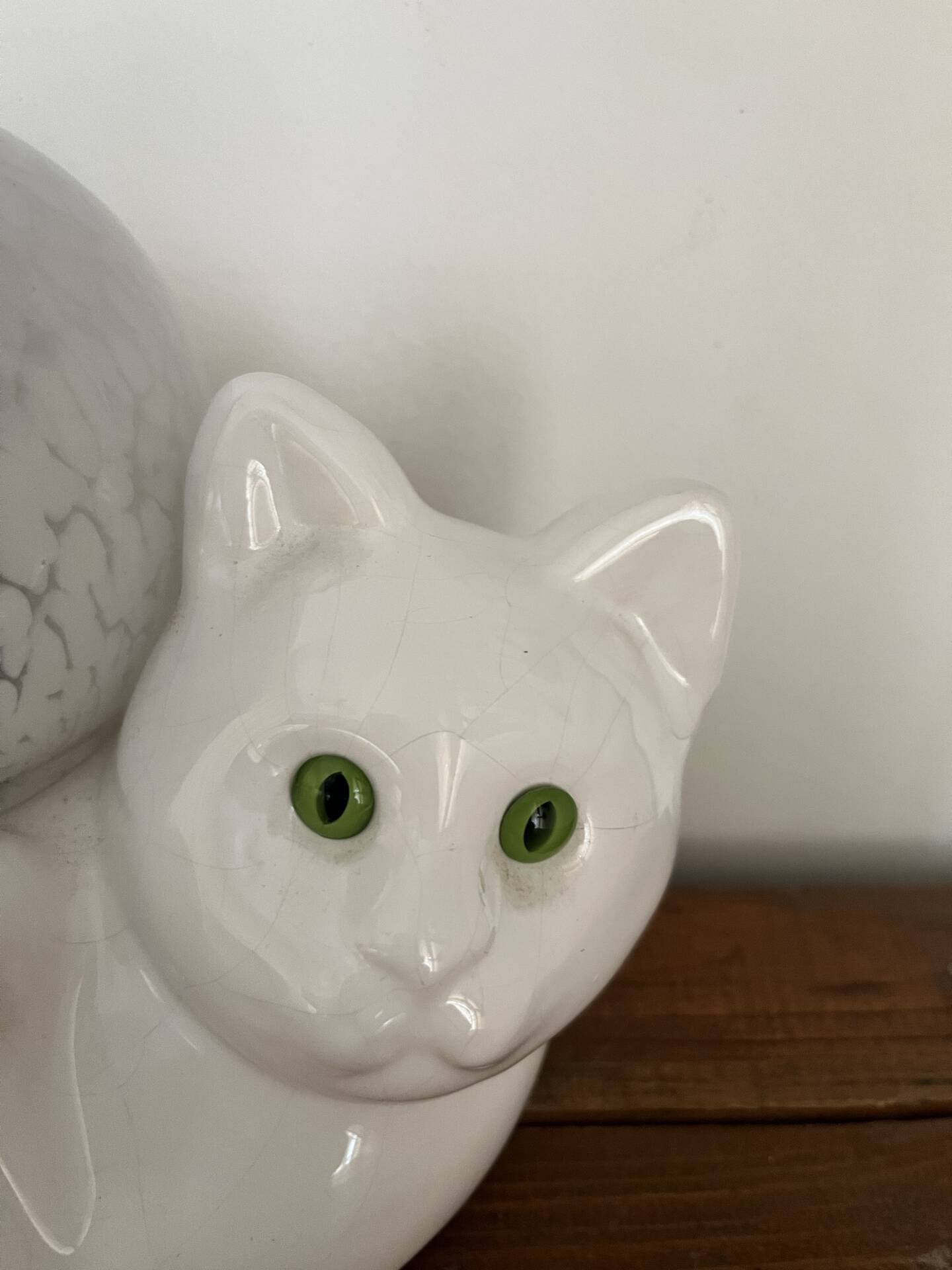 Lampe chat 