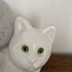 Lampe chat 