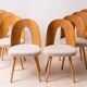 Set of 10 MidCentury Dining Chairs by A. Šuman, Reupholstery Options