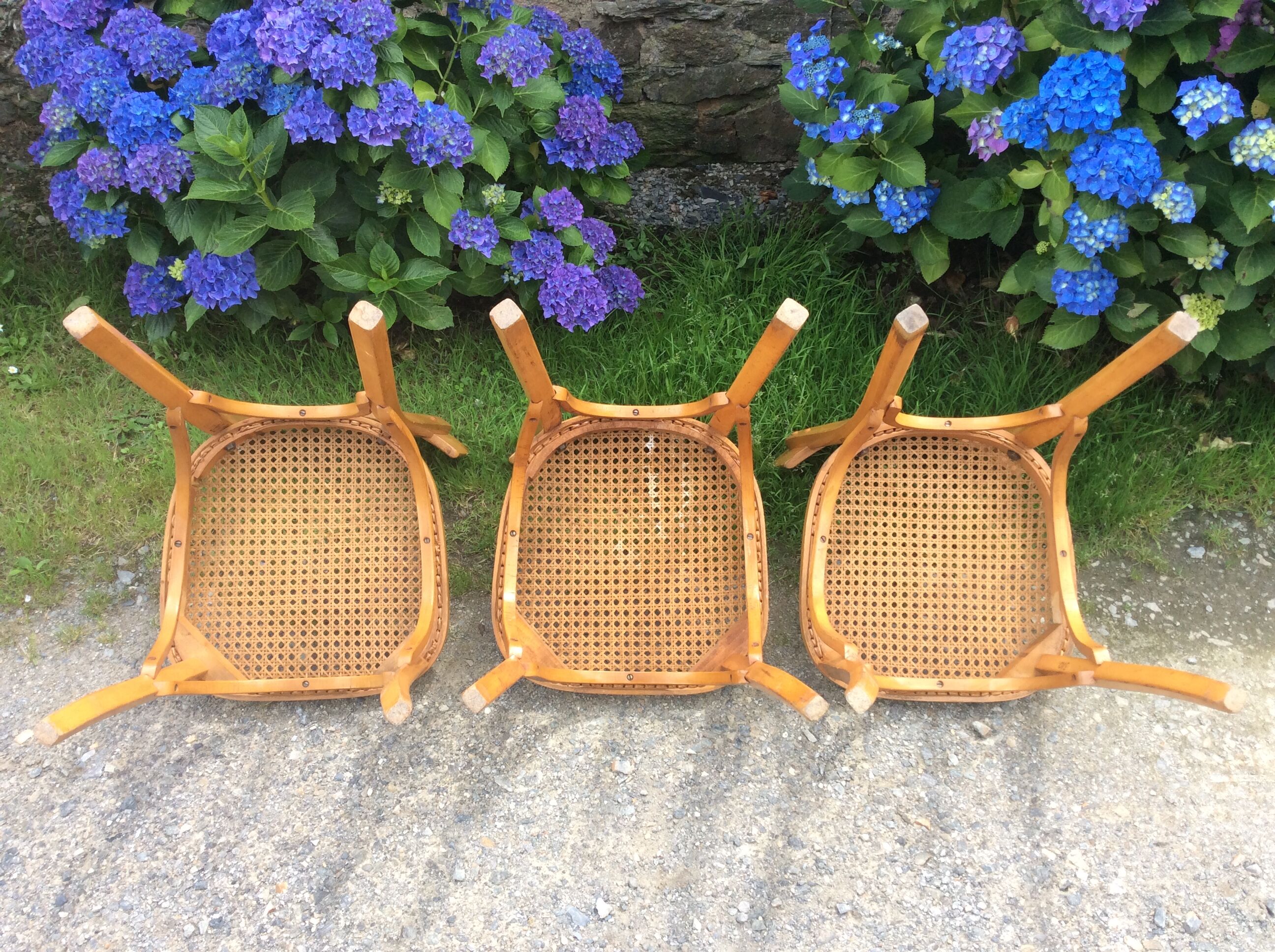 Trio de chaises cannées de style Bauman en hêtre non estampillées.