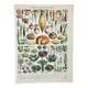 Old engraving 1898, Vegetables and vegetable plants, • Lithograph, original illustration