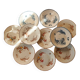 10 Lunéville earthenware plates, "Mésanges" pattern