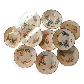 10 Lunéville earthenware plates, "Mésanges" pattern