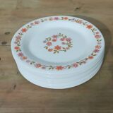 10 vintage Scania dessert plates