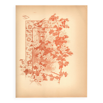 Art Nouveau engraving 1896 - Hawthorn by G. Fraipont. Antique floral plate.
