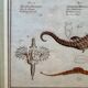 Old engraving of a seahorse and fish – Ludwig Schmidt (19th century)
