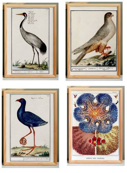 Set of 4 posters, based on engravings from 1610 and 1893