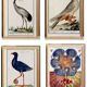 Set of 4 posters, based on engravings from 1610 and 1893