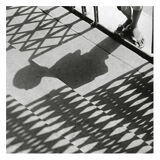 Shadows, Rajasthan