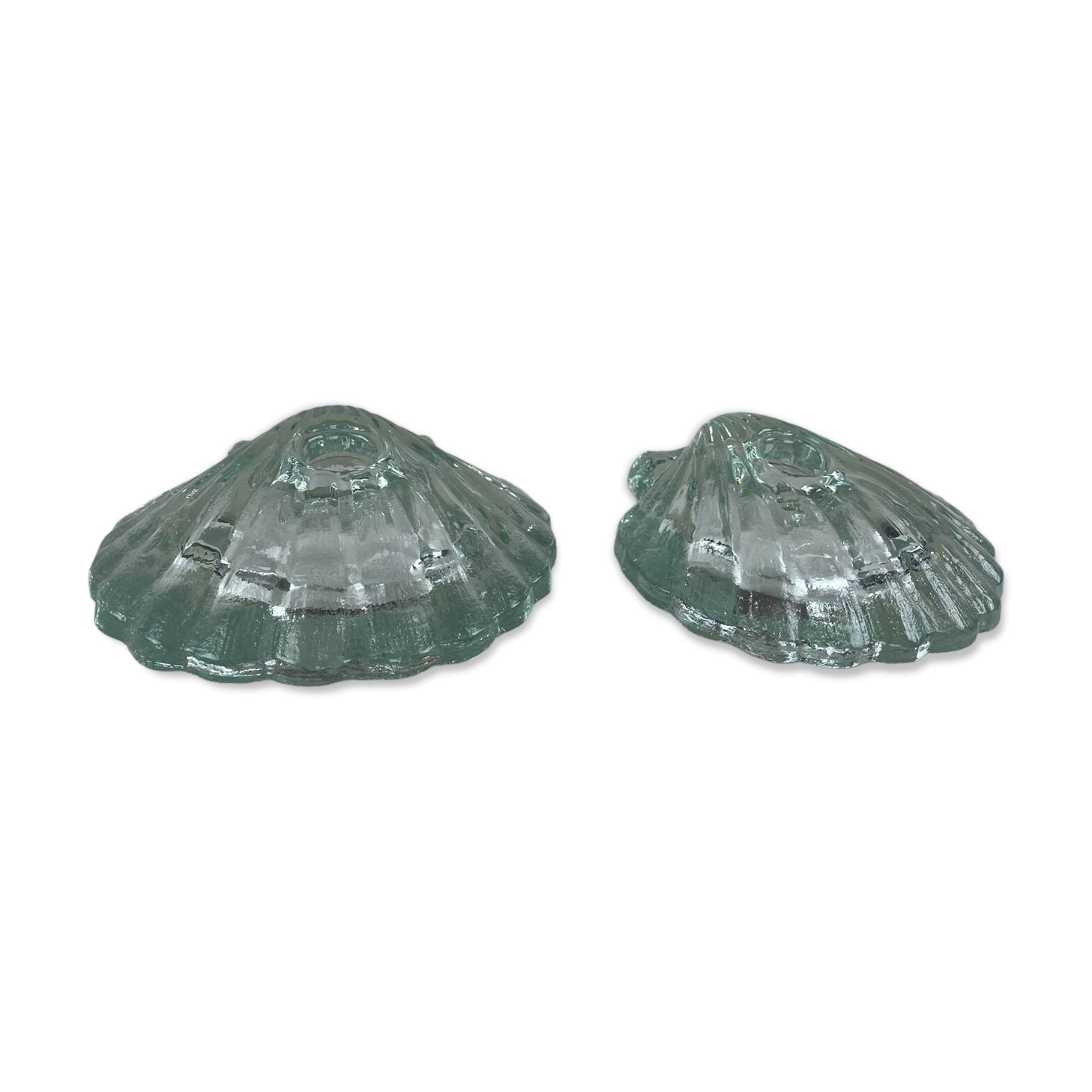 Pair of scallop shell candlesticks