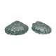 Pair of scallop shell candlesticks